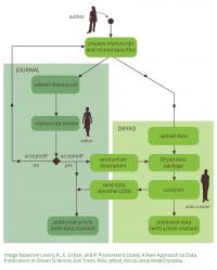 Dryad Workflow Chart