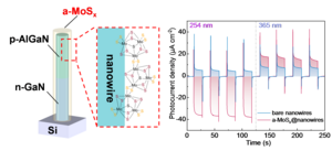 III-nitride/MoSx core-shell nanowire architecture and corresponding spectrally distinctive photodetection behavior.