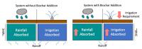 BIOCHAR 1
