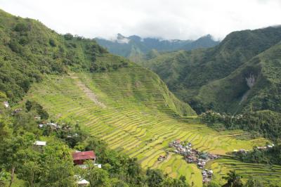 Rice Terraces