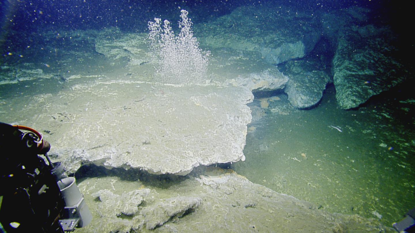 Underwater Bubbles (1 of 2)
