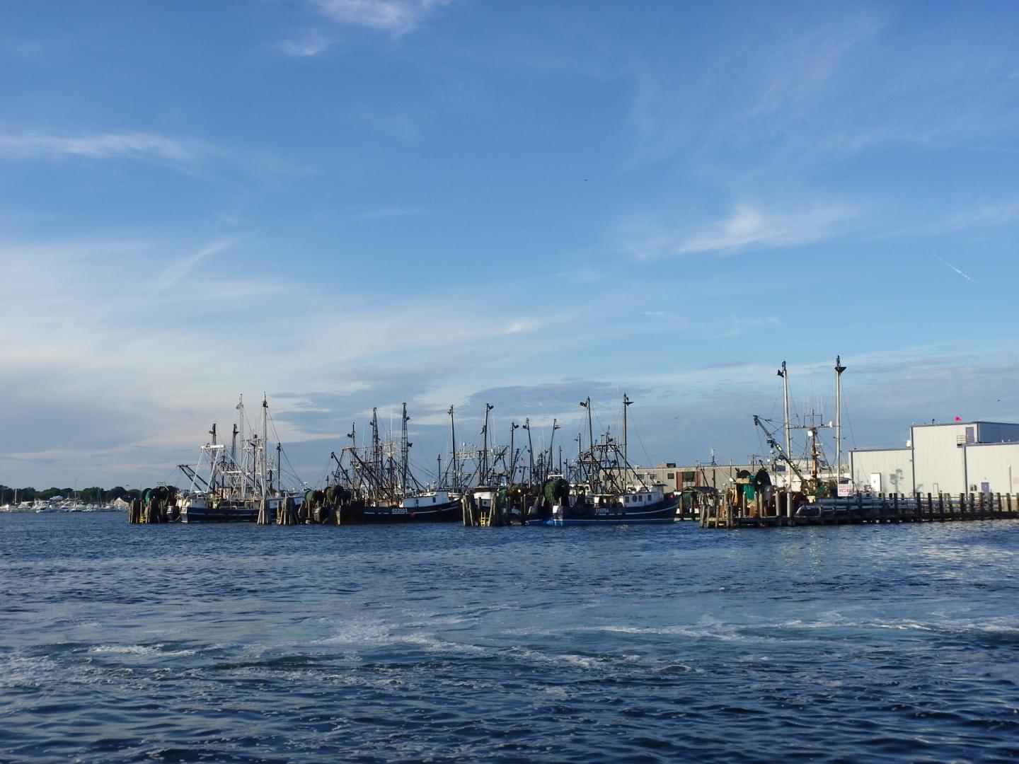 Boats docked at Point Juidth