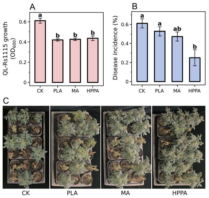Effect of key metabolites on pathogen growth and bacterial wilt control.