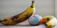 Food Waste