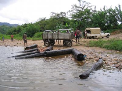 Protection Needed for Imperiled Malagasy Rosewood (3 of 3)