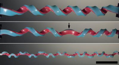 Helices