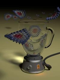 The Reshuffler