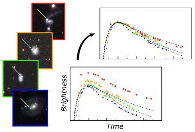 Many Type Ia Supernovae