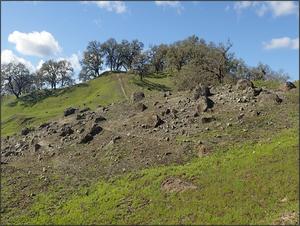 Serpentine outcrop