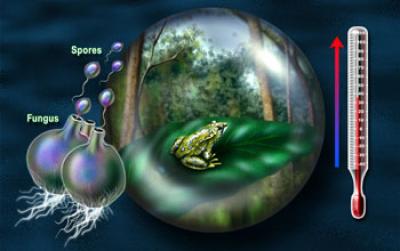 Earth's Climate Contributing to Extinction