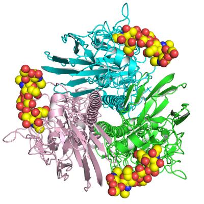 Good News So Far on H7N9 Flu Strain