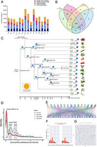 Examination of the flax genome’s evolution.