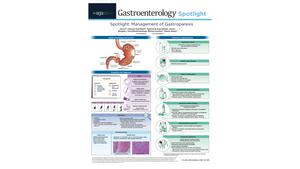 Guideline spotlight
