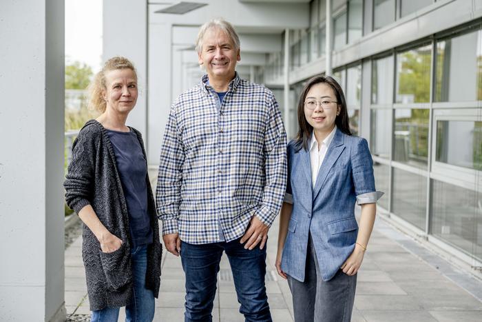 Three Authors