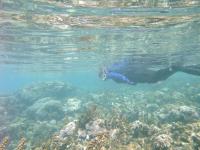 Coral-Reef Research