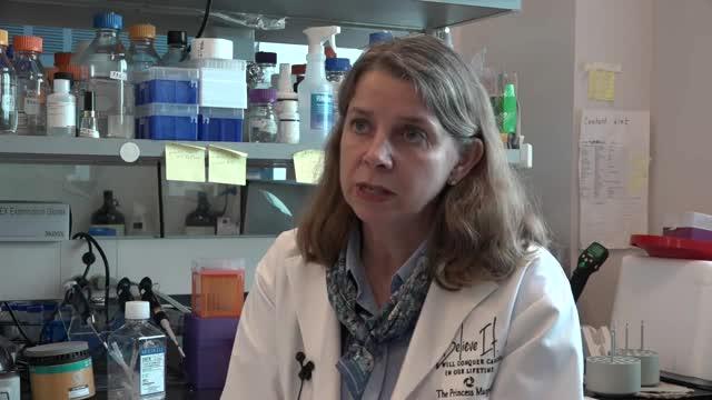Breast Cancer Researchers Track Changes in Normal-Looking Mammary Duct Cells Leading to Disease