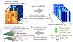 Revealing novel transitions in turbulent plasmas through information entropy