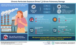 How Air Pollution Triggers Allergic Lung Inflammation