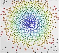 Active particles turn and move toward crowded areas (jpg)