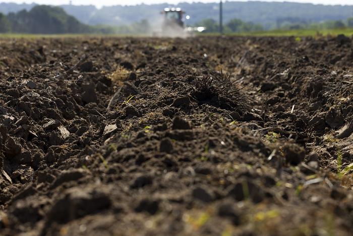 Soil fertility