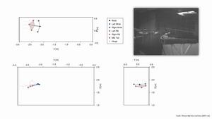 Animation of hawk in flight and measurements