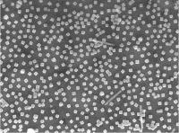 Nanocubes