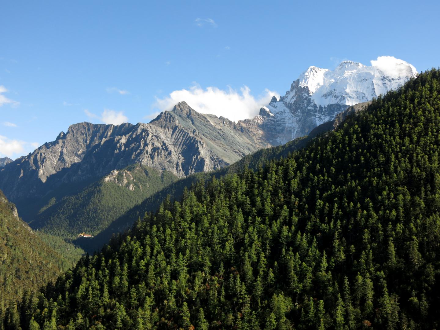 Highly Variable Forest in China