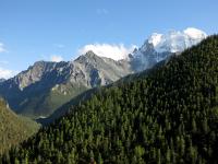 Highly Variable Forest in China