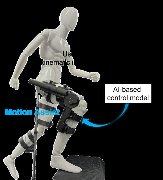 Illustration of the exoskeleton