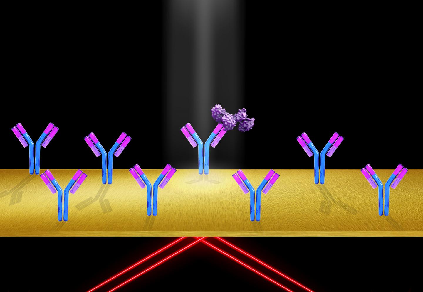 Plasmon Scattering Microscopy