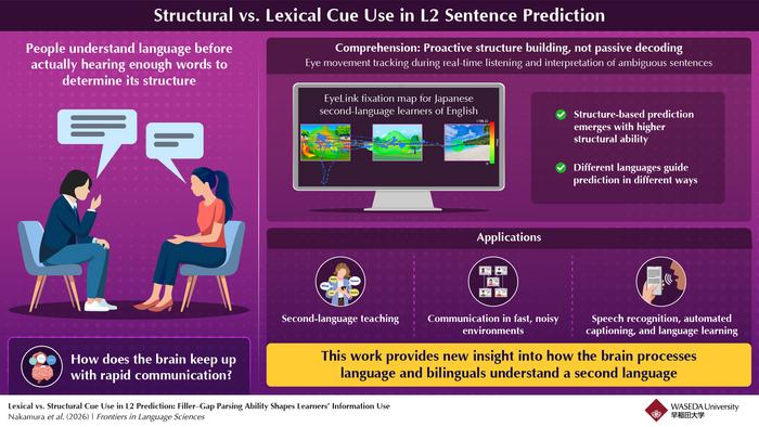 Eye-tracking reveals how the brain processes sentences in a second language