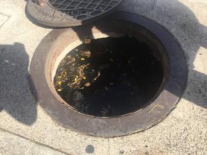 Flooded storm drain