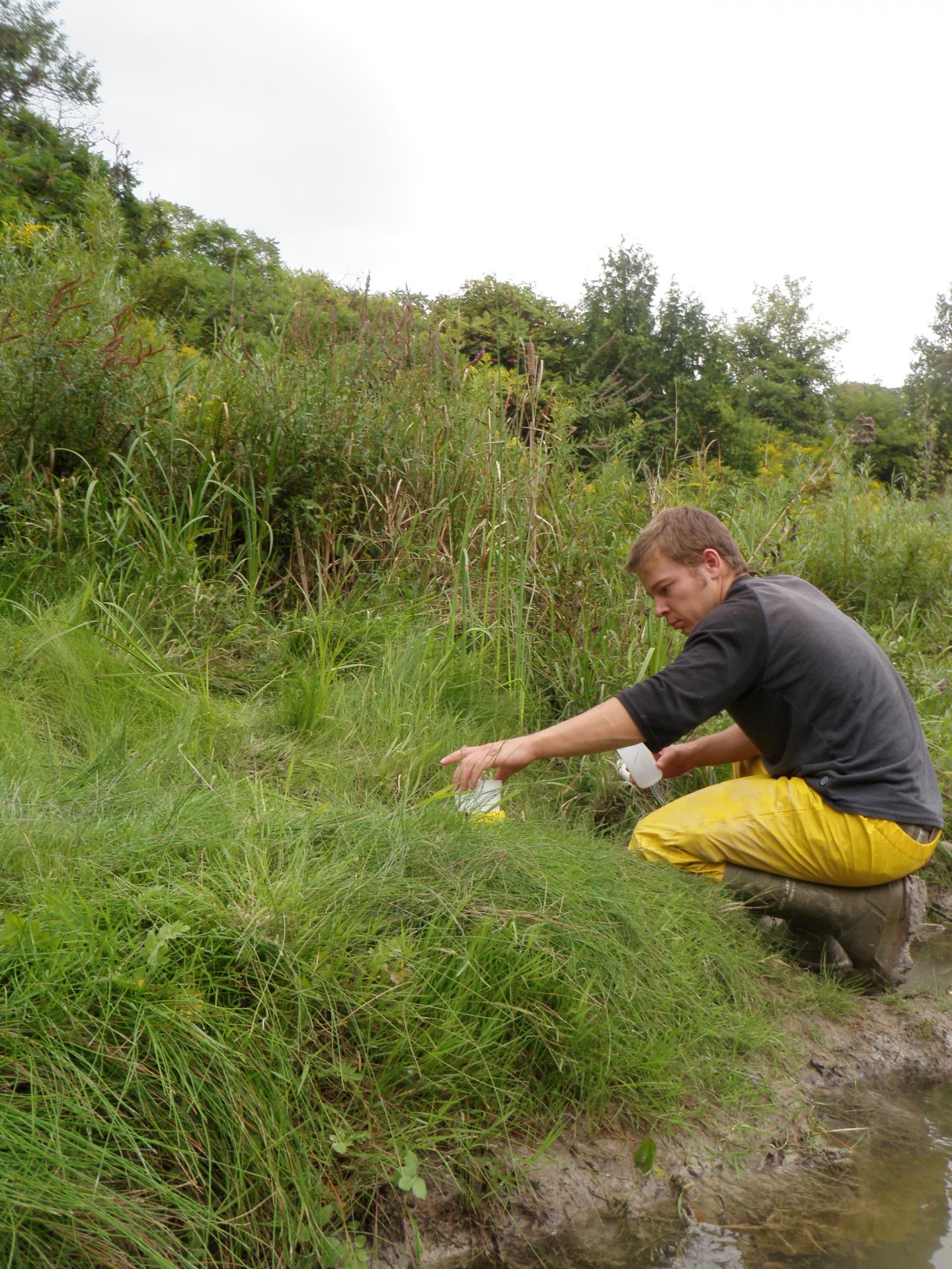 Collecting Groundwater Samples