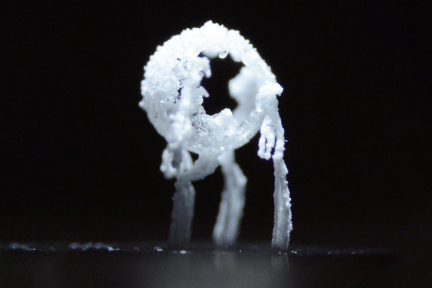 crystal critters