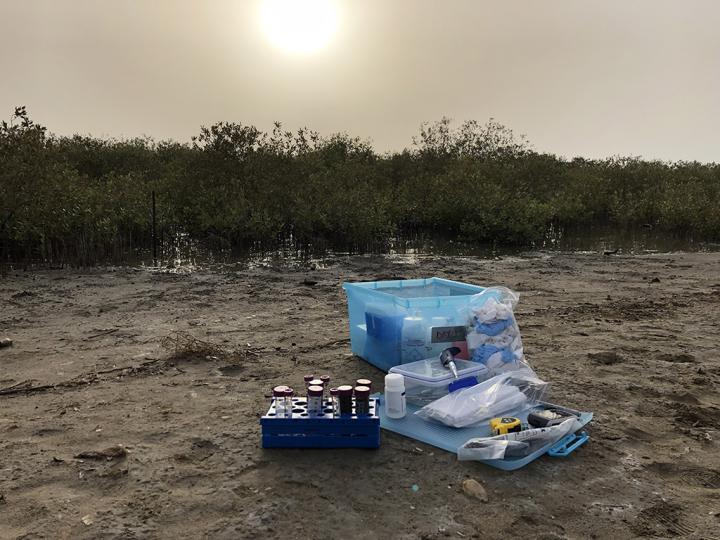 Field work