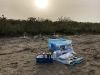 Field work