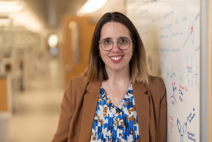 Brain cancer research