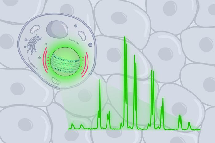 Microbead laser illustration