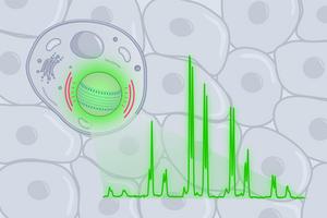 Microbead laser illustration