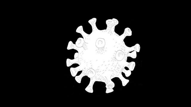 Coronavirus and ACE2 Receptors