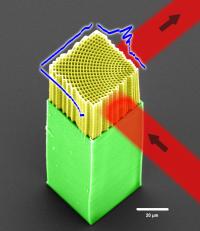 Light Bending Lattice