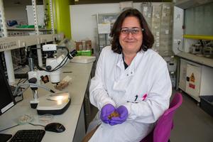 Dr Kourmpetli with seeds