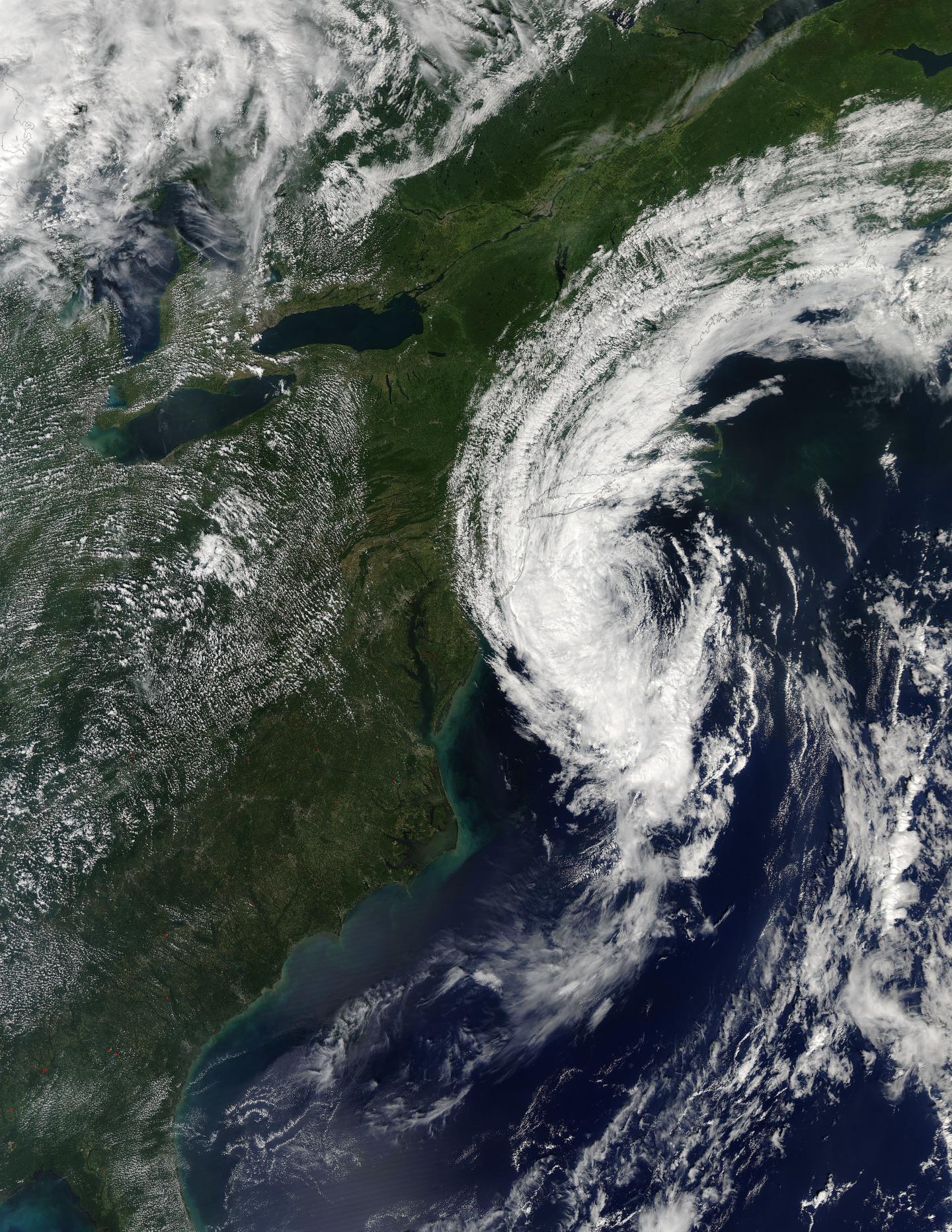 Aqua Image of Hermine