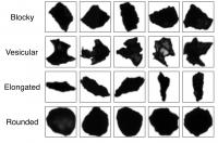 Figure 2 Four Idealized Categories to Simplify Classification