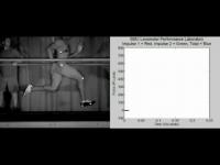 Two-Mass Model for Human Running Vertical Forces