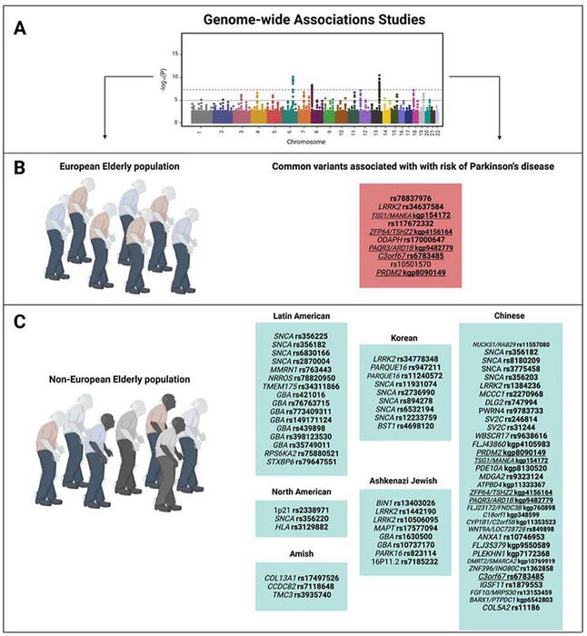 Graphical Abstract