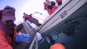Seafloor video-acoustic monitoring in a Greenlandic glacial fjord records hyperbenthos, backward-swimming fish, and narwhals
