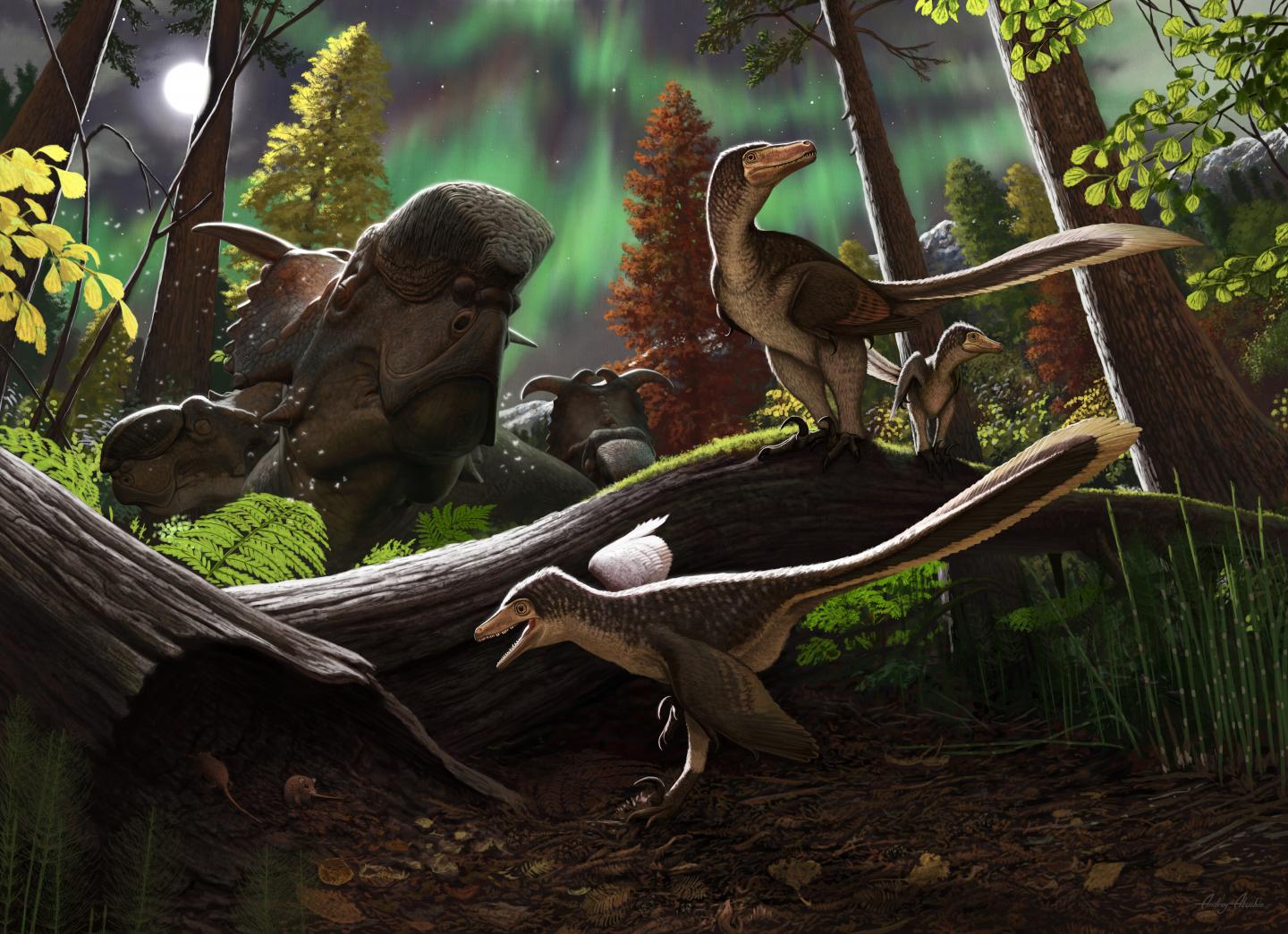 Alaska Raptor Reconstruction