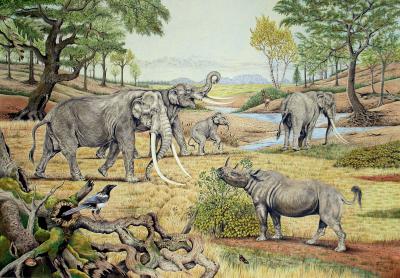 Reconstruction of a Last Interglacial Temperate Landscape