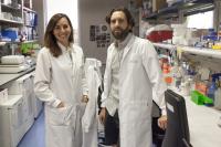 Researchers